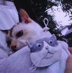 岩国市Y様猫のにゃんちゃん | 小田ペット葬祭